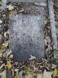 image of grave number 435435